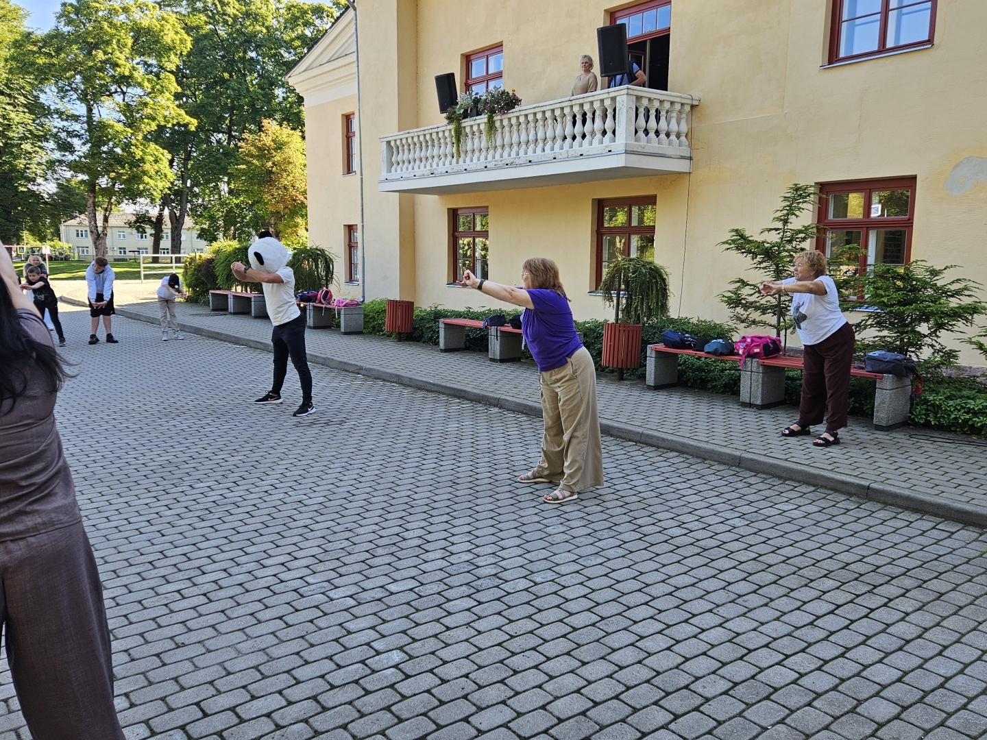 Direktore vingro